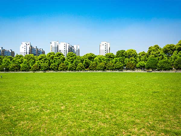 Land Selection